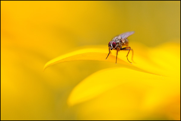 20110328193741_dsc00378_1.jpg 20110328193741_dsc00378_1.jpg