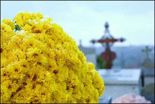 20110328214724_dsc_5082.jpg 20110328214724_dsc_5082.jpg