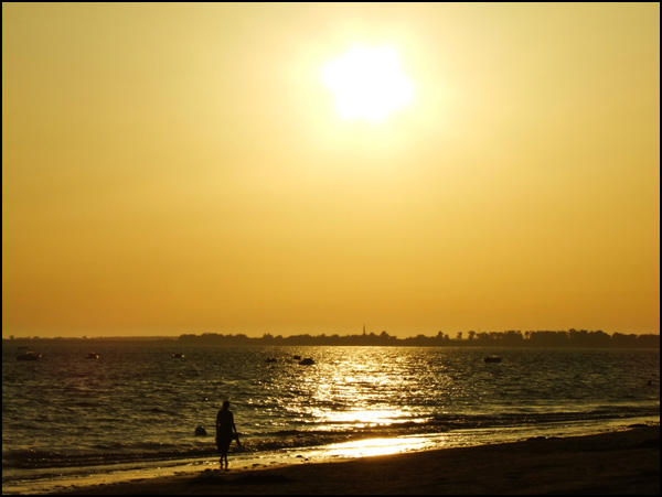 20110329115411_2009_0814ile_de_re1157.jpg 20110329115411_2009_0814ile_de_re1157.jpg