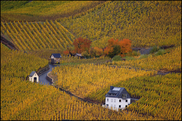 20110329155930_bernkastel.jpg 20110329155930_bernkastel.jpg