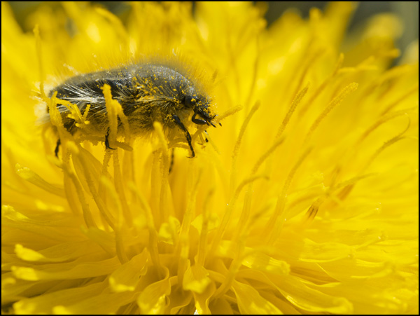 20110329185929_dsc00088.jpg 20110329185929_dsc00088.jpg