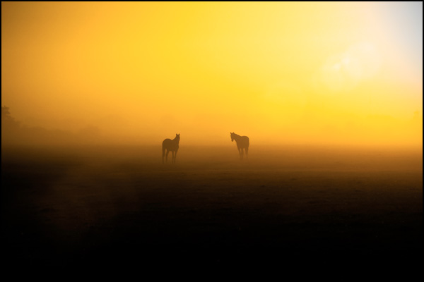 20110329223407_dsc_0225.jpg 20110329223407_dsc_0225.jpg