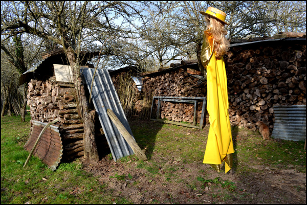 20110329224432_dejauner_au_bois.jpg 20110329224432_dejauner_au_bois.jpg