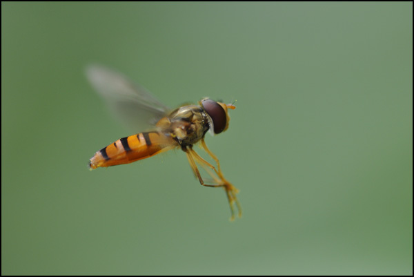 20110329225018_2009_07_05__133_.jpg 20110329225018_2009_07_05__133_.jpg