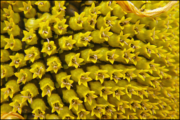 20110329225018_p1020636_.jpg 20110329225018_p1020636_.jpg