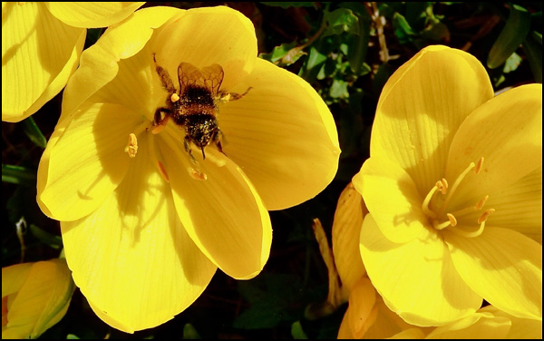 20110329230550_p1110775.jpg 20110329230550_p1110775.jpg