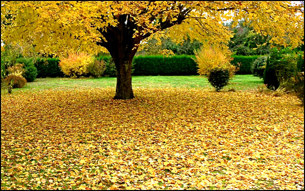 20110329230550_p1200276.jpg 20110329230550_p1200276.jpg