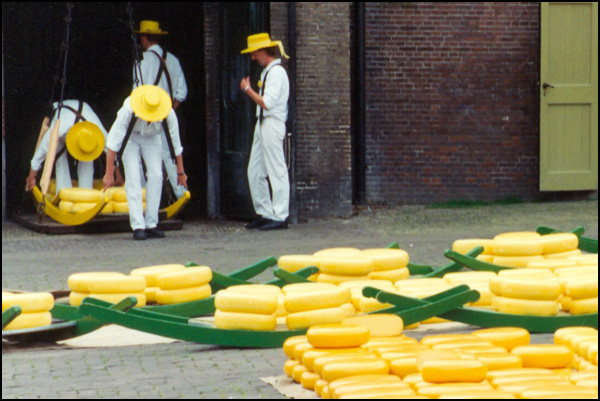 20110330025040_alkmaar.jpg 20110330025040_alkmaar.jpg