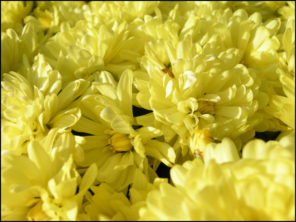 20110330025041_quebec.jpg 20110330025041_quebec.jpg