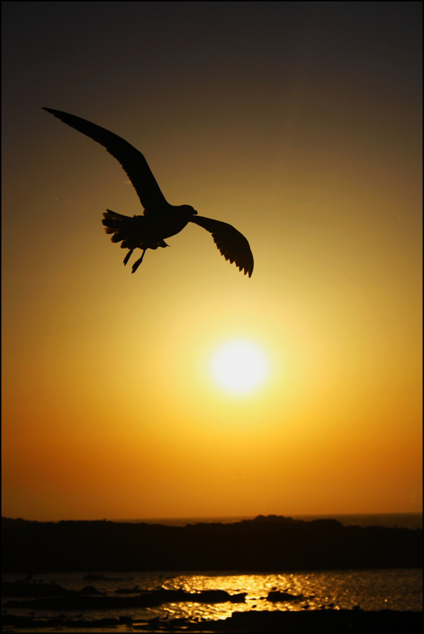 20110330094931_img_0423ter.jpg 20110330094931_img_0423ter.jpg