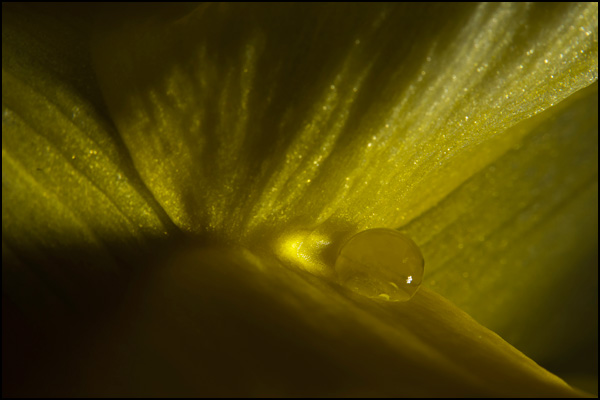 20110330145654_refuge.jpg 20110330145654_refuge.jpg