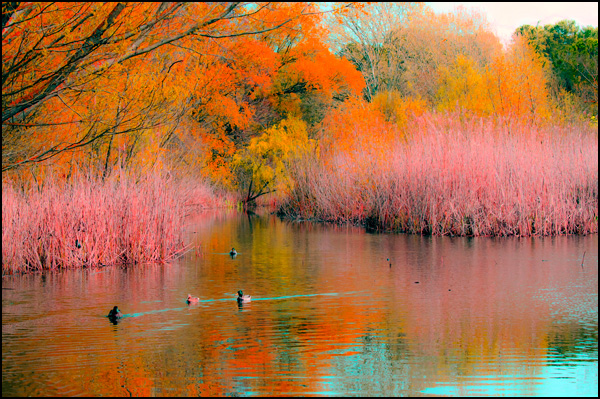 20110330173201__dsc2497.jpg 20110330173201__dsc2497.jpg