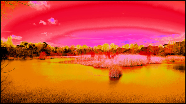 20110330173202_concour.jpg 20110330173202_concour.jpg