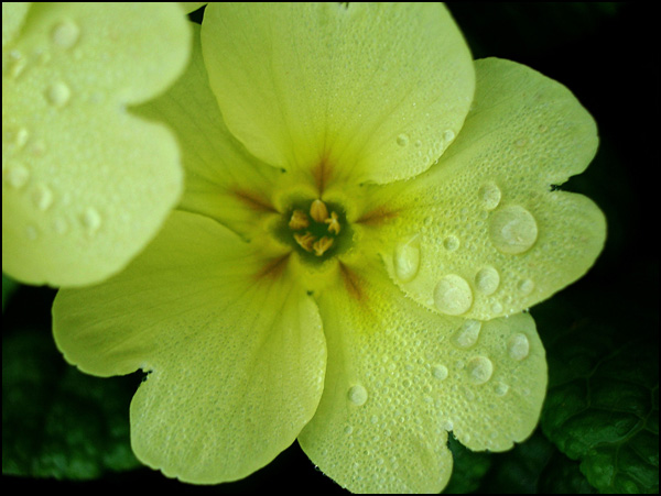 20110330175042_dscn6141_ret1ta.jpg 20110330175042_dscn6141_ret1ta.jpg