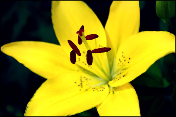 20110330175042_img_2448_ret4ter.jpg 20110330175042_img_2448_ret4ter.jpg