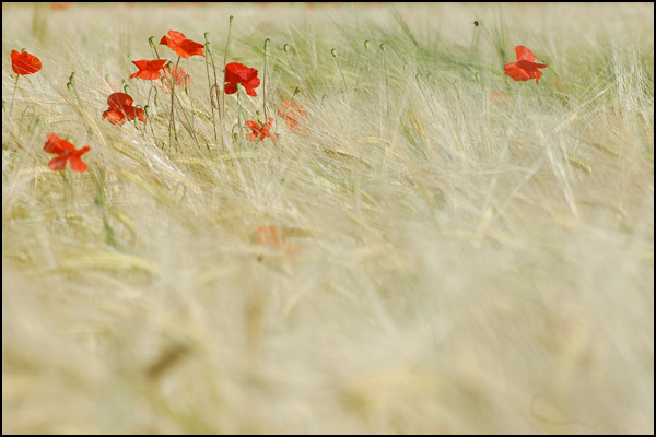 20110330183101_dsc_0325.jpg 20110330183101_dsc_0325.jpg