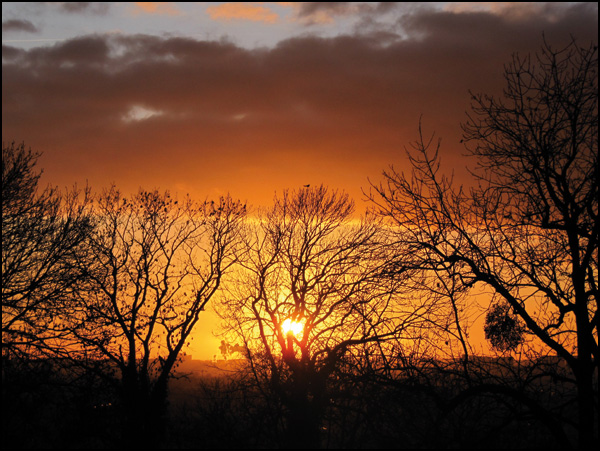 20110330203512_beaumonts_a_montreuil.jpg 20110330203512_beaumonts_a_montreuil.jpg