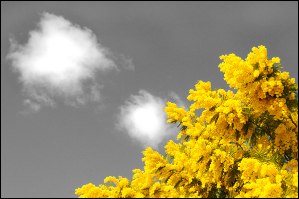 20110330221041_printemps.jpg 20110330221041_printemps.jpg