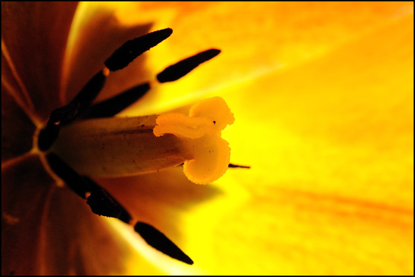 20110330221718_dsc_1949hd2.jpg 20110330221718_dsc_1949hd2.jpg