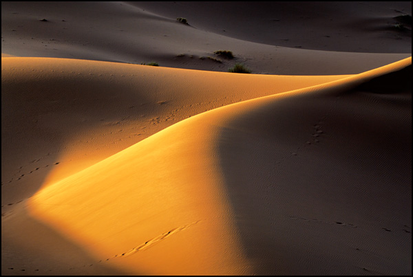 20110330225042_sensualite.jpg 20110330225042_sensualite.jpg