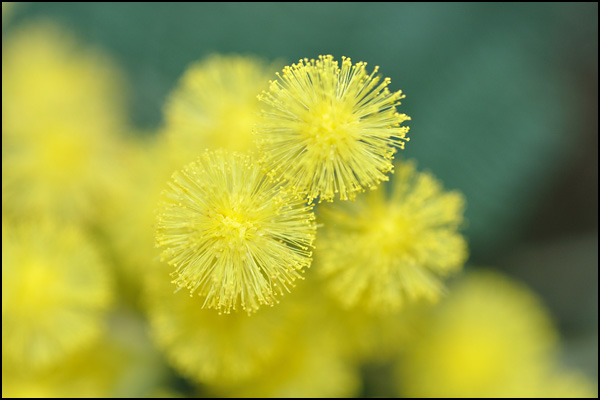 20110330230016_dsc_0080.jpg 20110330230016_dsc_0080.jpg