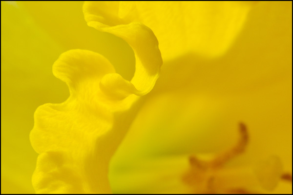 20110330230016_dsc_0195.jpg 20110330230016_dsc_0195.jpg