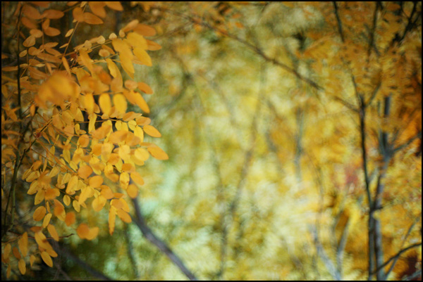 20110330231438_j_9713_copie.jpg 20110330231438_j_9713_copie.jpg