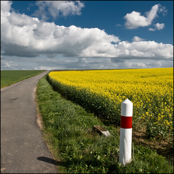 20110331000952_colza_borne_rouge_blanche_2848_original.jpg 20110331000952_colza_borne_rouge_blanche_2848_original.jpg