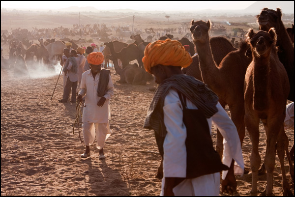20110331132728_herders_in_the_dust_borcard_metraux.jpg 20110331132728_herders_in_the_dust_borcard_metraux.jpg