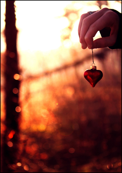 20110331215331_img_2327_2.jpg 20110331215331_img_2327_2.jpg