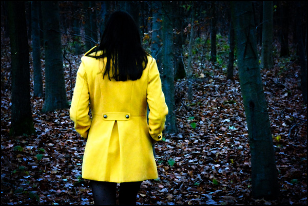 20110331132755_the_magnificent_tree.jpg 20110331132755_the_magnificent_tree.jpg