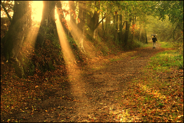 20110330220405_img_0017.jpg 20110330220405_img_0017.jpg