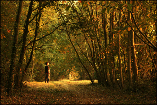 20110330220405_img_0033.jpg 20110330220405_img_0033.jpg