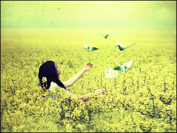 20110330225620_j.jpg 20110330225620_j.jpg