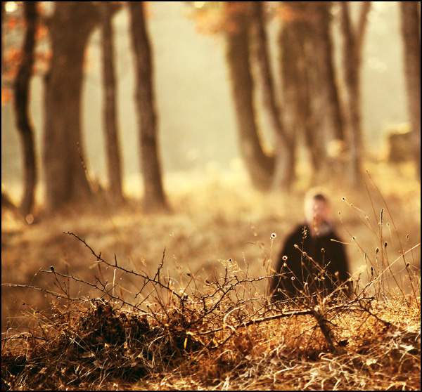 20110331215331_img_2371.jpg 20110331215331_img_2371.jpg