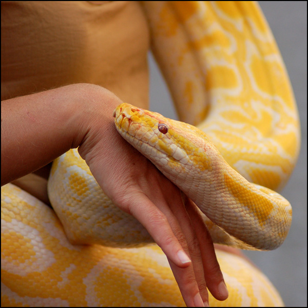 20110328152906_caresse.jpg 20110328152906_caresse.jpg