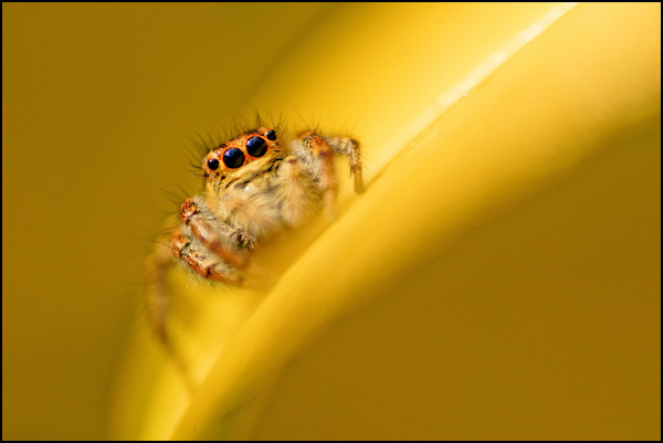 20110328193741_dsc07444_1.jpg 20110328193741_dsc07444_1.jpg