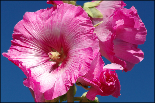 20110327192127_k20d3803.jpg 20110327192127_k20d3803.jpg