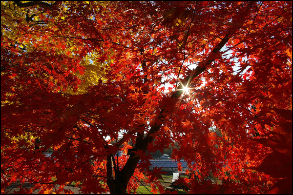 20110327192721_imgp2271.jpg 20110327192721_imgp2271.jpg