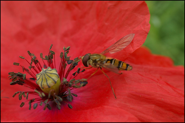 20110327192721_imgp6638.jpg 20110327192721_imgp6638.jpg