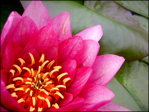 20110328210326_dsci16542.jpg 20110328210326_dsci16542.jpg