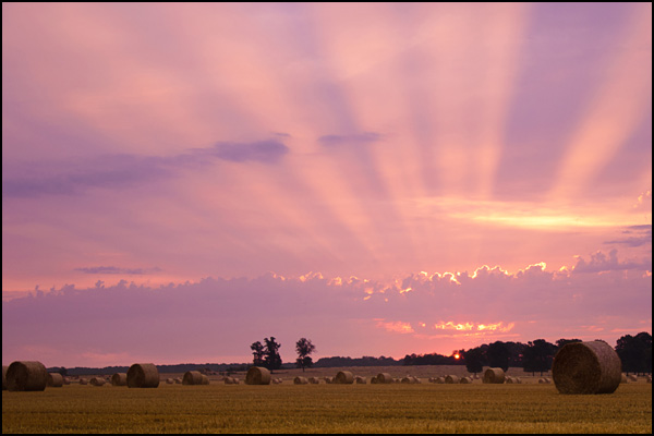 20110328213757_le_reveil_des_ballots.jpg 20110328213757_le_reveil_des_ballots.jpg