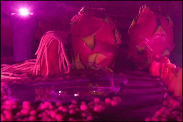 20110328213757_reve_rose.jpg 20110328213757_reve_rose.jpg