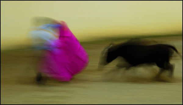 20110329002109_le_combat_magenta.jpg 20110329002109_le_combat_magenta.jpg