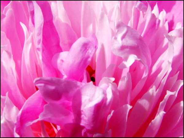 20110329111426_2009_06040033.jpg 20110329111426_2009_06040033.jpg