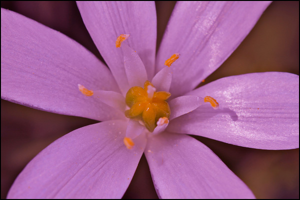 20110329134748_rouge1.jpg 20110329134748_rouge1.jpg