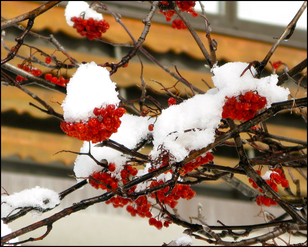 20110329140226_en_rouge_et_blanc.jpg 20110329140226_en_rouge_et_blanc.jpg
