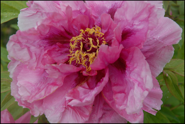 20110329174853_3521588866_d35b25b7f9_o.jpg 20110329174853_3521588866_d35b25b7f9_o.jpg