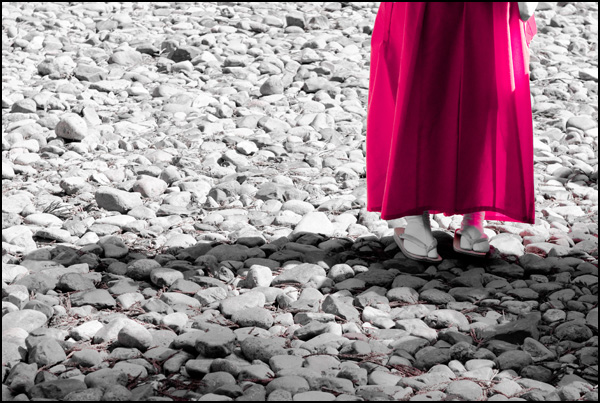 20110329203745_dsc_4743.jpg 20110329203745_dsc_4743.jpg