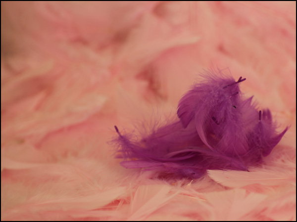 20110329210338_img_6150b.jpg 20110329210338_img_6150b.jpg